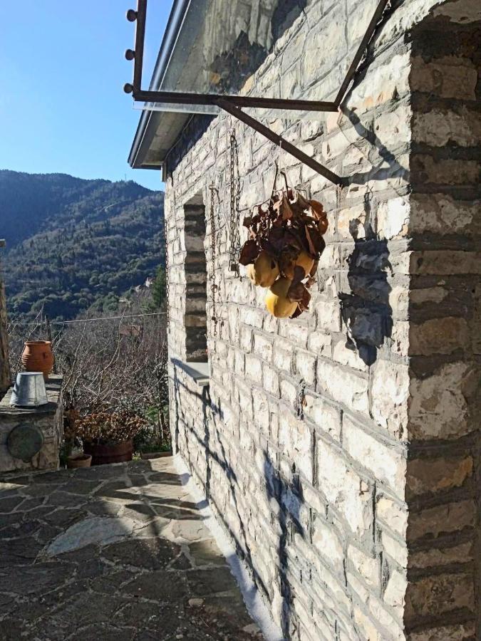 Alexadras Guesthouse Ampelochori Εξωτερικό φωτογραφία